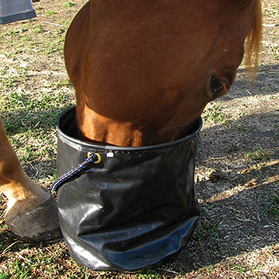 Cashel Collapsible Water Pail - West 20 Saddle Co.
