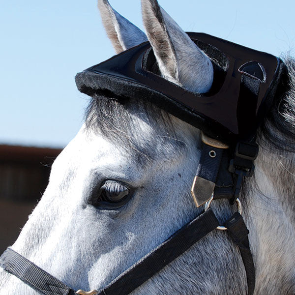Cashel Horse Helmet - West 20 Saddle Co.