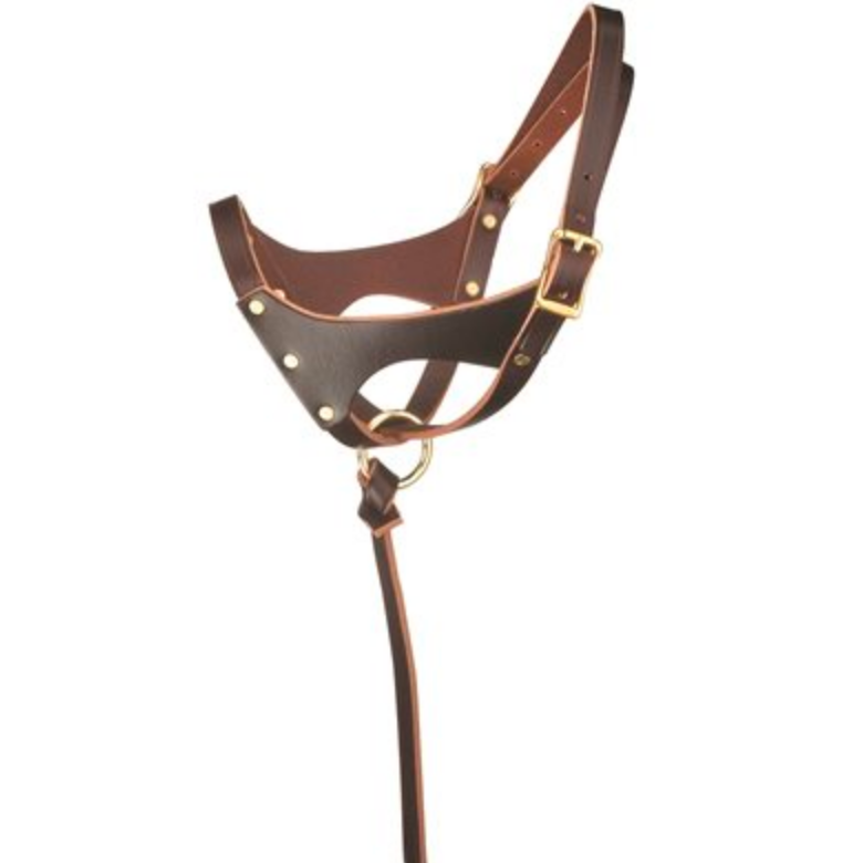 Perri's Leather Double Crown Foal Halter